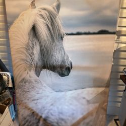 White Horse Picture