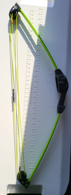 Bear beginners and apprentice archery set