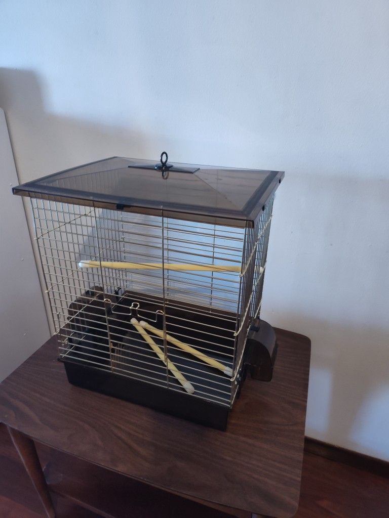 Bird Cage
