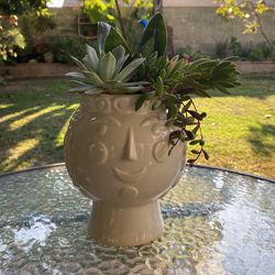 Arreglo De Suculentas 