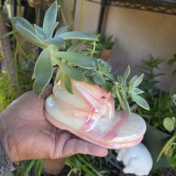 Ceramic Pink Shoe With Succulents 