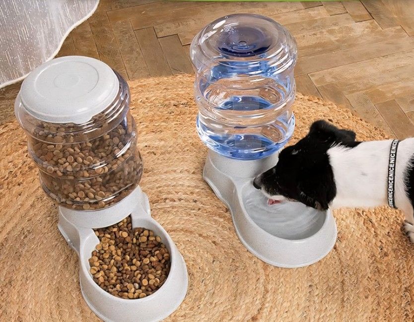 Automatic Feeder For Dog Or Cat