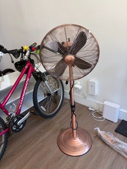 Fan
