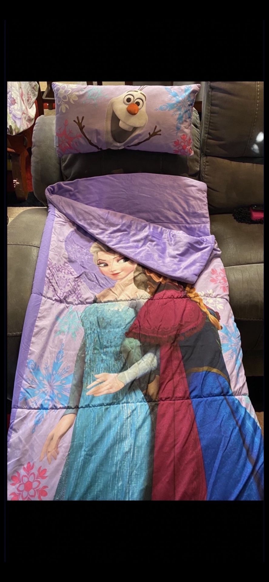 Frozen Sleeping Bag And Pillow