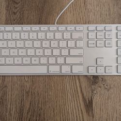 Apple Keyboard - Price $10 (Actually Worth $50)

