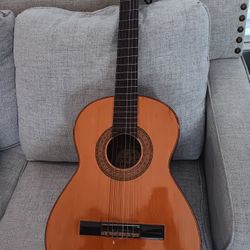 Acoustic Guitar