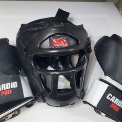 Boxing/martial arts gloves & face mask