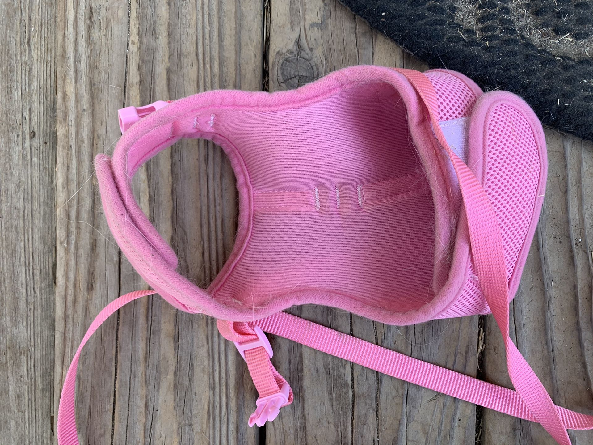 Cat or small dog harness and leash