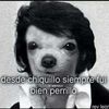 moises silva