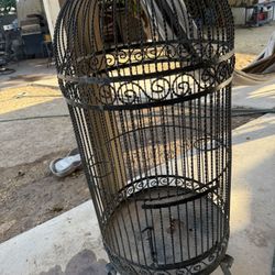 Big Bird Cage 