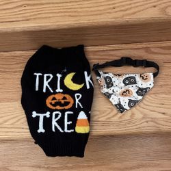 Dog Sweater And Collar For Halloween 