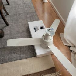 Ceiling Fan