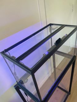Fish tank