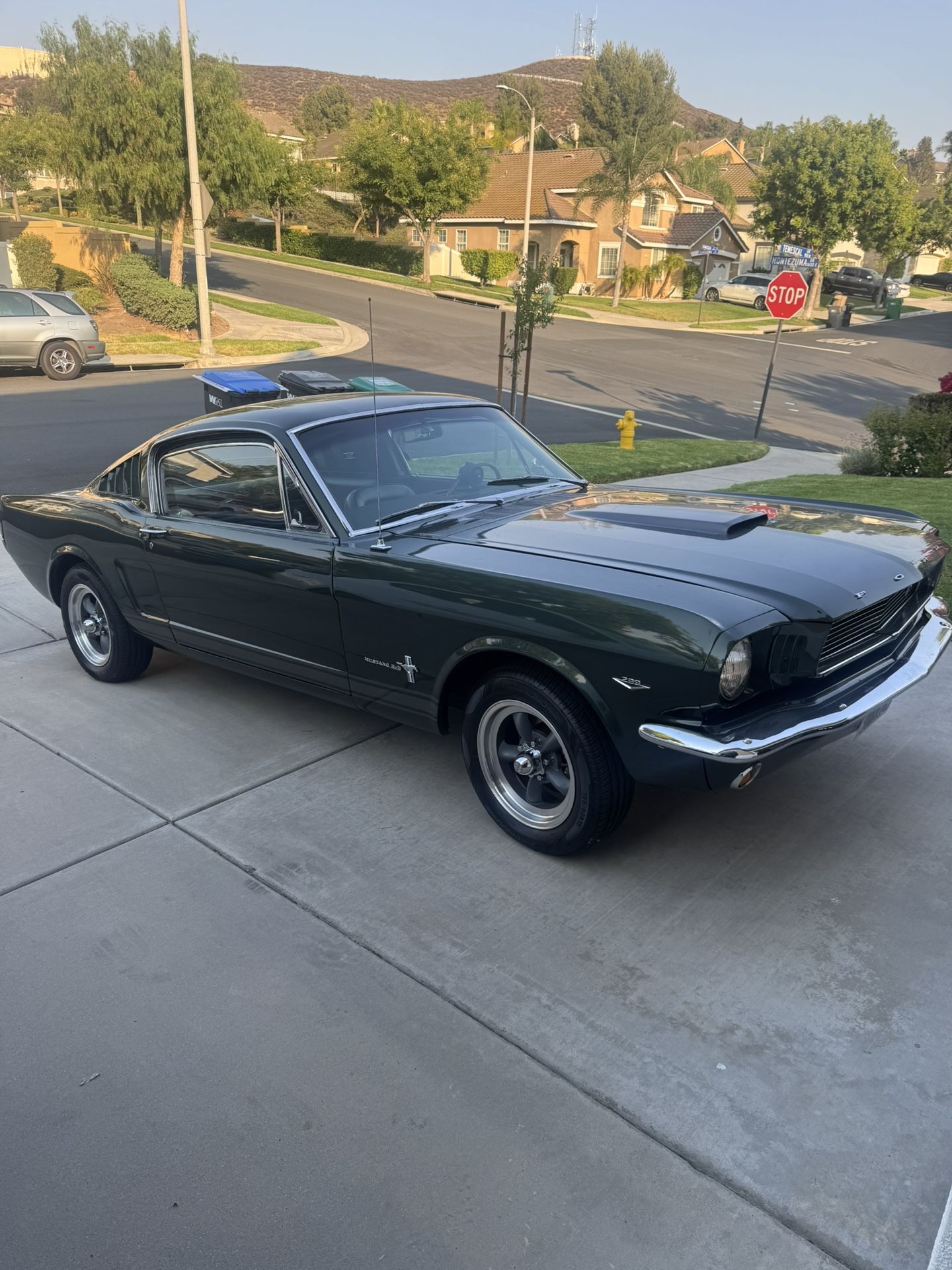 1966 Ford Mustang