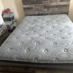 Queen Bed 