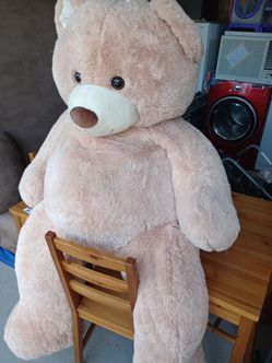 Big teddy