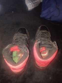 Nike SB krumpas 10.5