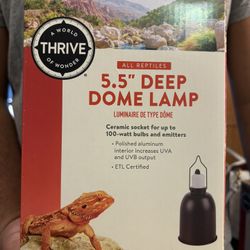 Thrive 5.5” Deep Some Lamp