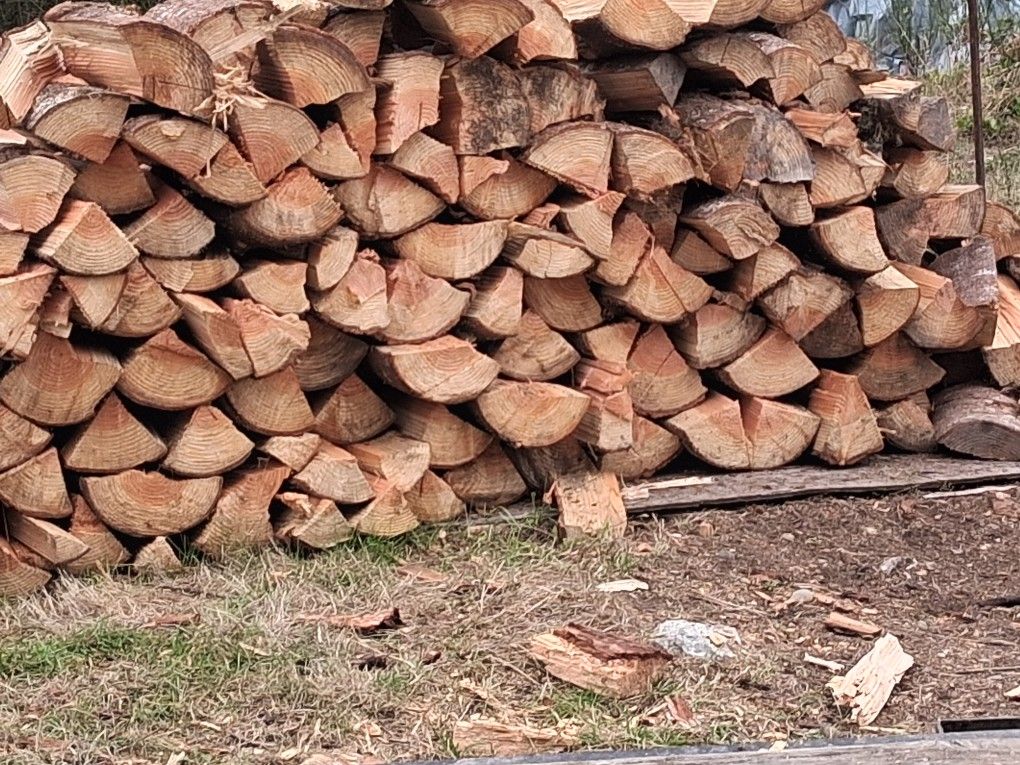 Premium Firewood