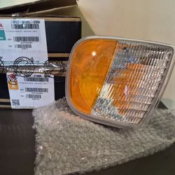 Pair Ford Signal/park Light Assemblies