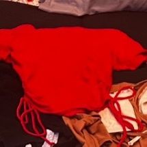 Red Crop Top