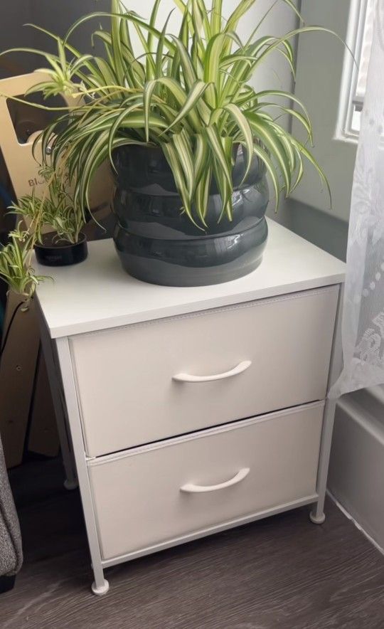 End Table, Coffee Tables, Cat Tree Tower, Ottomans Storage, Plush Toys