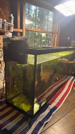 FISH TANKS