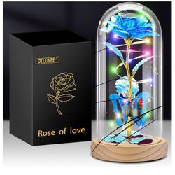 Valentine Day🌺 Dia Se San Valentin 