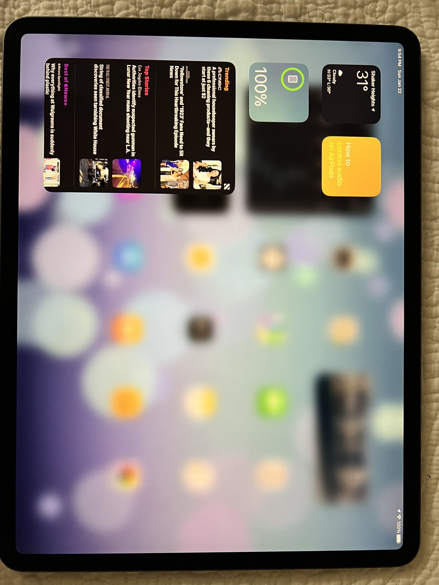 iPad Pro 4th gen 12.9 Inch 512gb