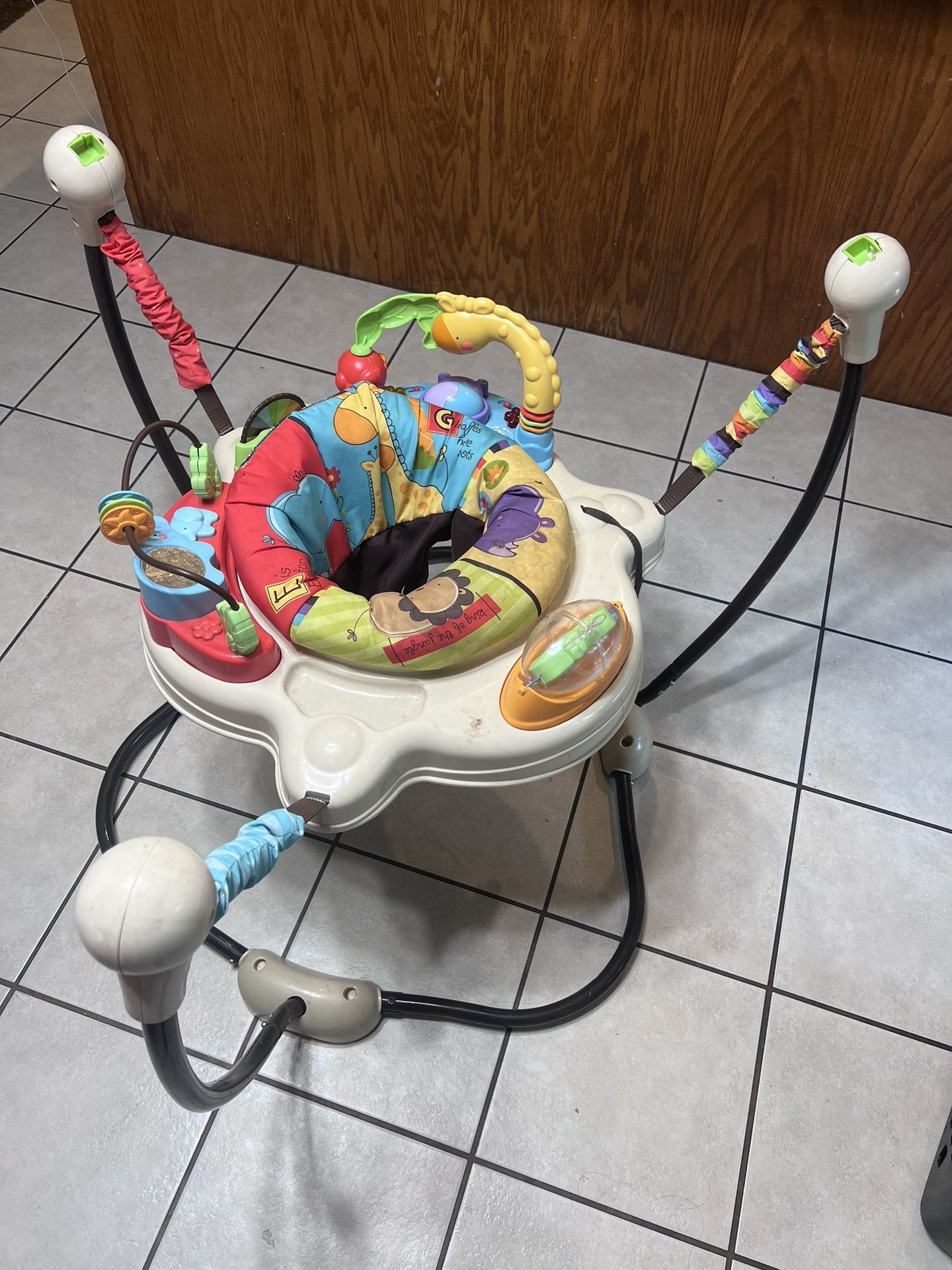 Fisher Price Baby Bouncer
