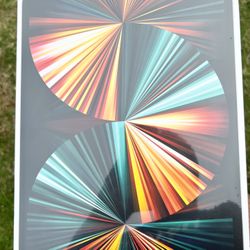 Ipad Pro 5th Gen 12.9 Inch M1 Chip