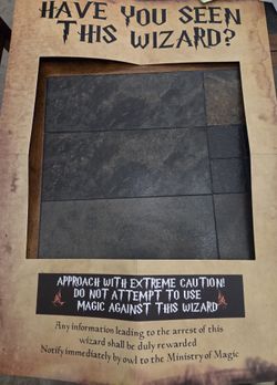 Harry Potter Party Wanted Frame