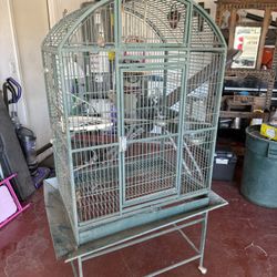 Bird Cage 