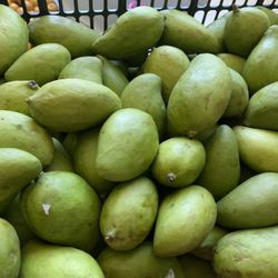 Mango Verde Tierno Criollo Y Nance