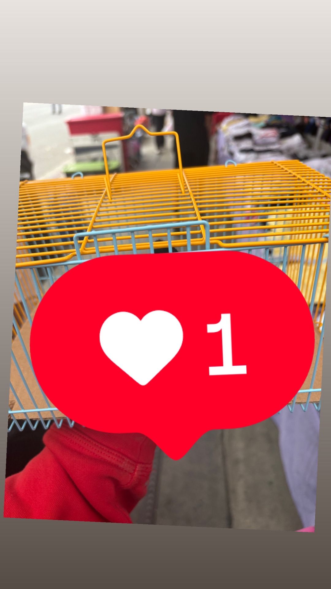 Cage