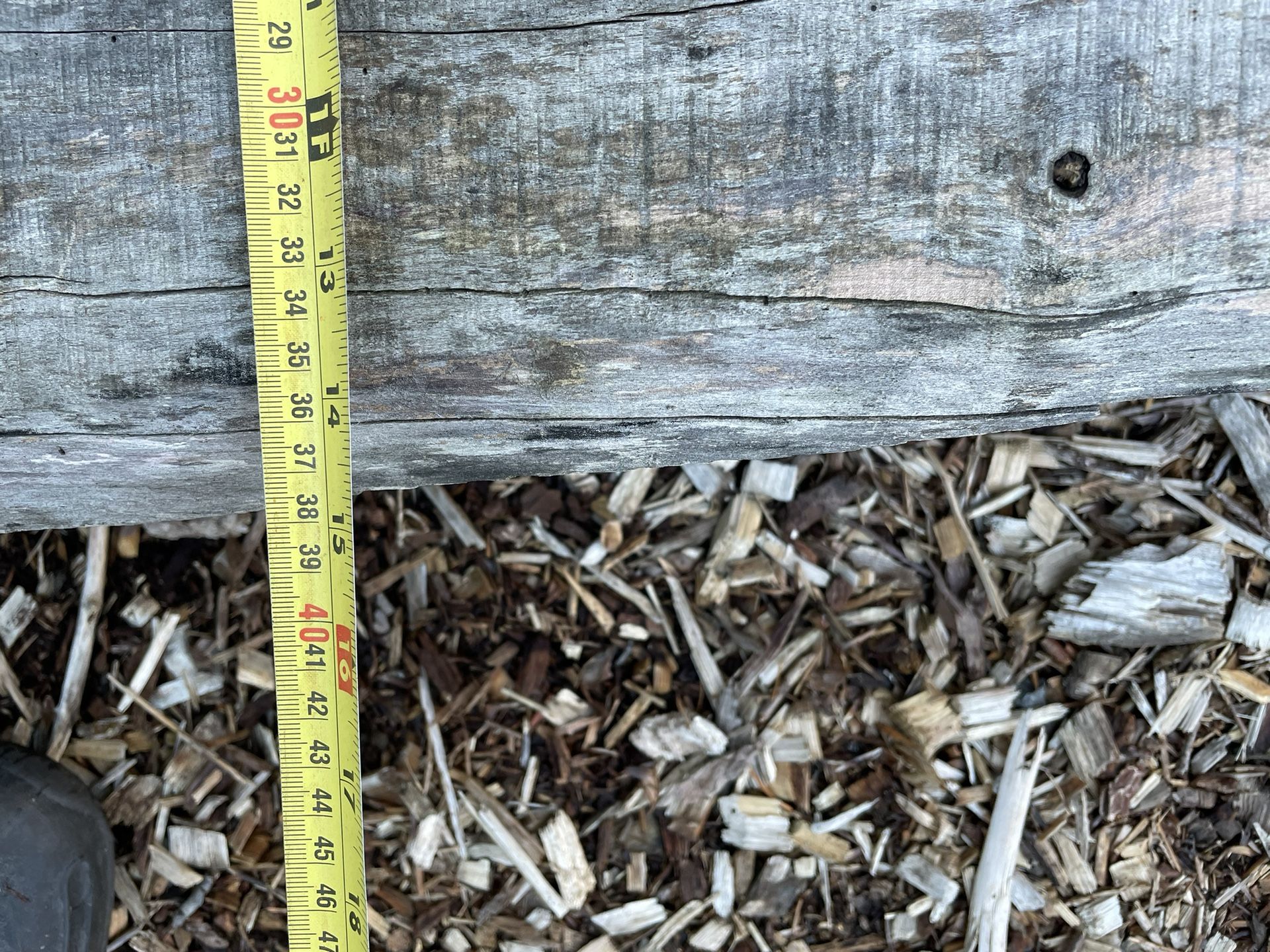 Untreated Cedar Plank (for Bench, etc) for Sale in Seattle, WA OfferUp
