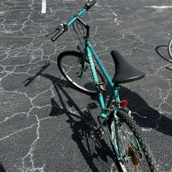 Roadmaster Granite Peak Men's Bike