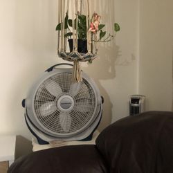Fan 