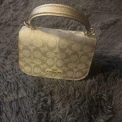 Coach Purse With Wallet And strap