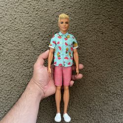 Barbie Ken Fashionista