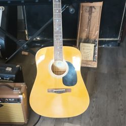 Acoustic Guitar Nice 