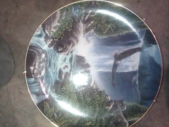 Set Of Collector Plates 