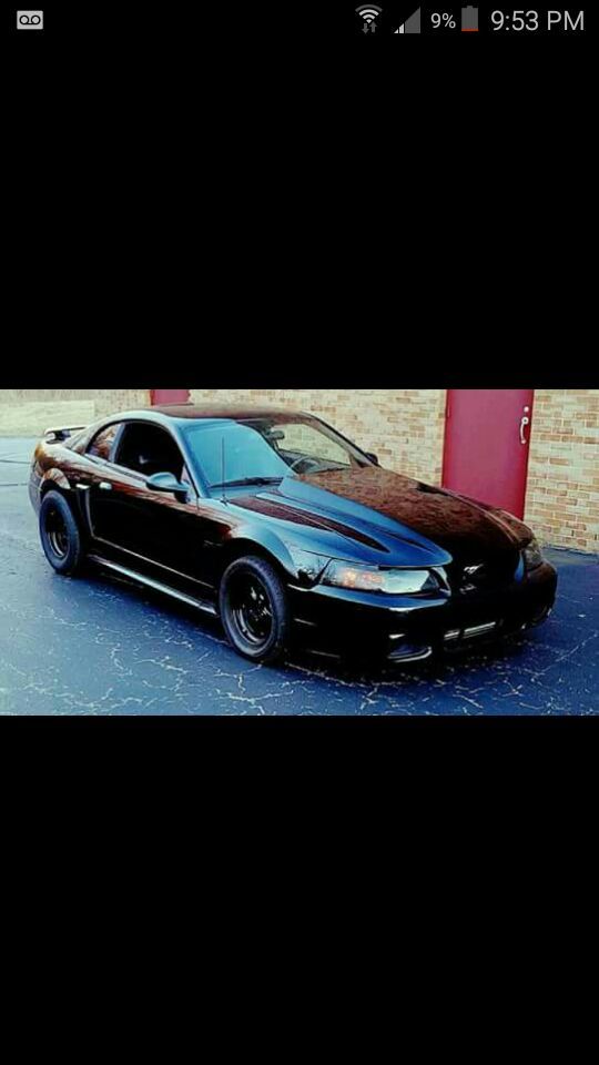 Looking for cars