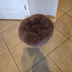 Dog Bed