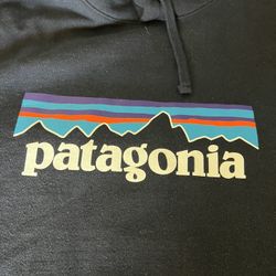 Patagonia Hoodie 