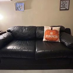 Full Size Foam Fold Out Couch