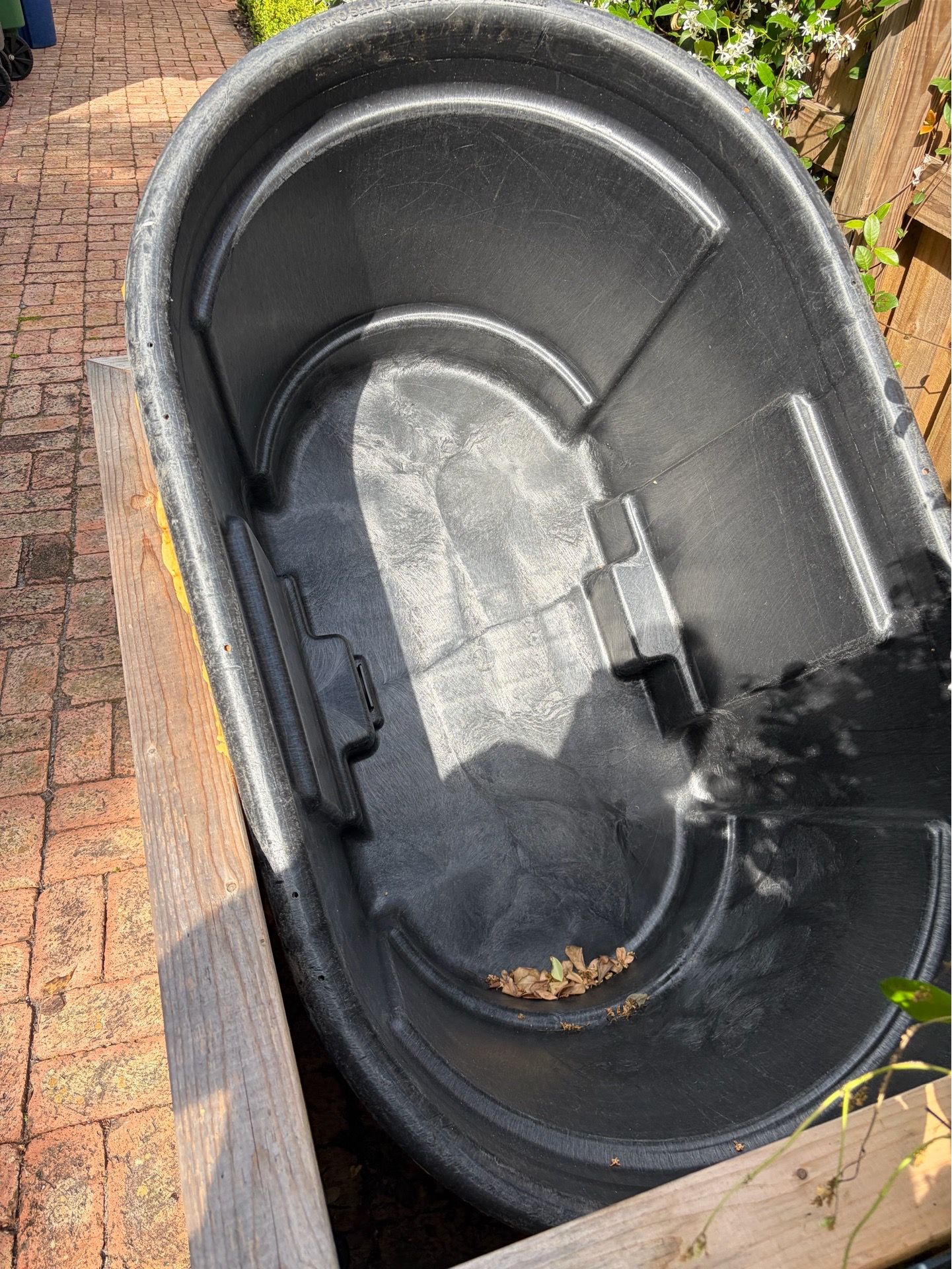 Cold plunge