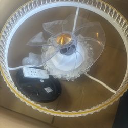 Ceiling Light With Fan 
