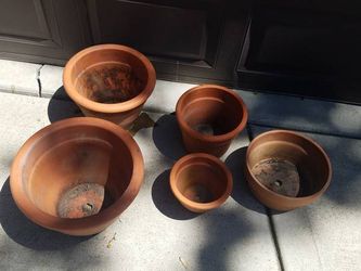 Terracotta Plant Pots Set of 5