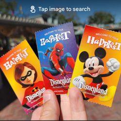 Disneyland Ticket 7/20 Only 